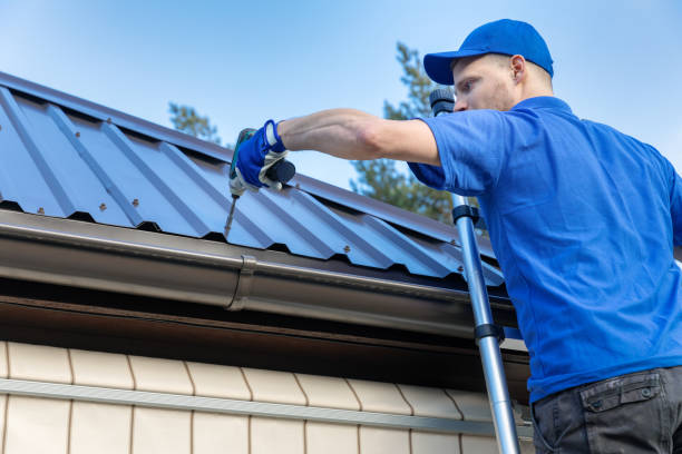 Best Roof Moss and Algae Removal  in Berry College, GA